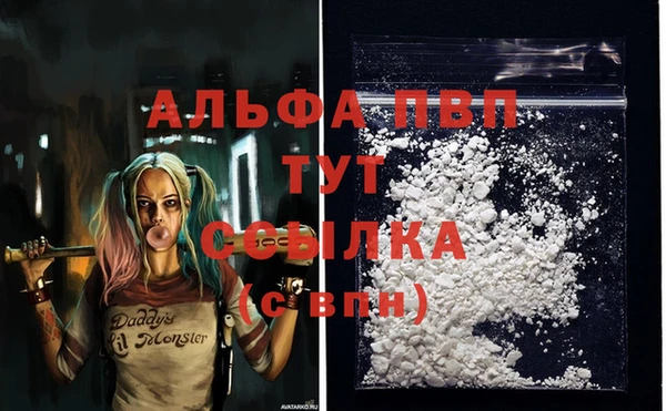 ешки Алексин