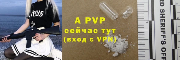 ешки Алексин