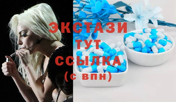 ешки Алексин