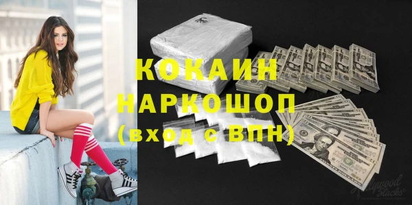 ешки Алексин