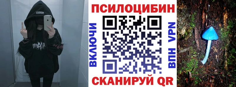 Псилоцибиновые грибы Psilocybine cubensis  купить   Курчалой 