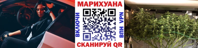 Марихуана марихуана mega ТОР Курчалой
